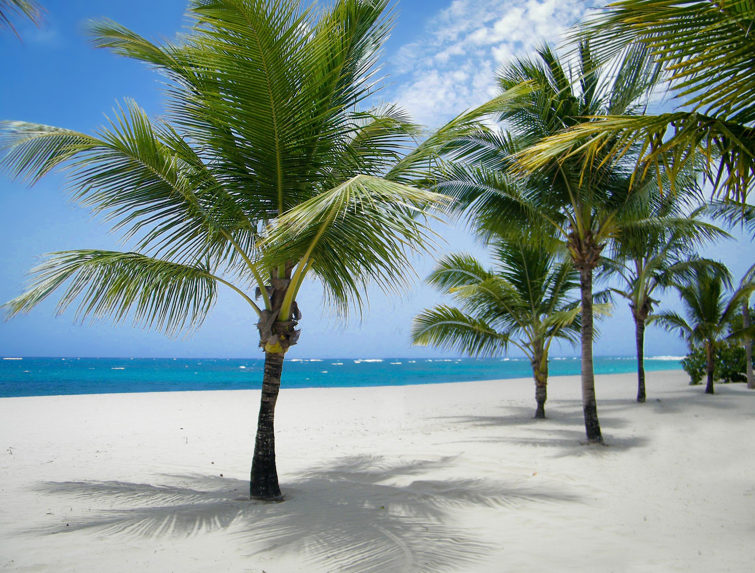 Viva Heavens By Wyndham, A Trademark All Inclusive (Adults Only) Puerto Plata Luaran gambar