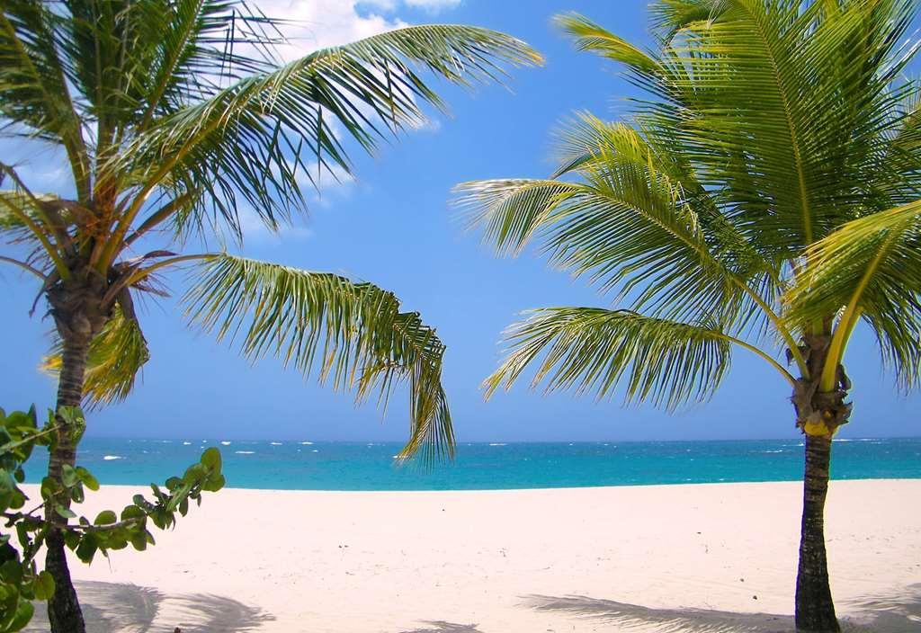 Viva Heavens By Wyndham, A Trademark All Inclusive (Adults Only) Puerto Plata Alam Semulajadi gambar